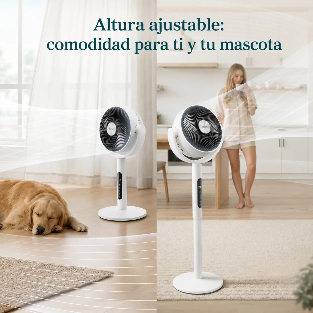 CirculAir 2-en-1 — 9 velocidades y 4 modos — imagen 5
